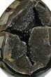 Septarian Dragon Egg Geode - Black Crystals #145259-3